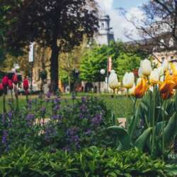 Event Cover Photo