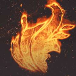 Event Cover Photo