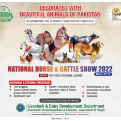 Event Cover Photo