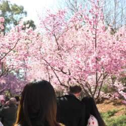 Event Cover Photo