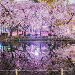 Event Cover Photo