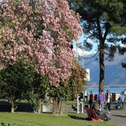 Event Cover Photo