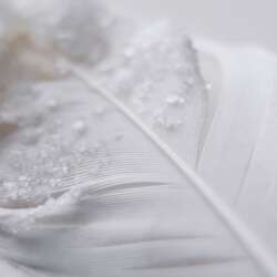 Event Cover Photo