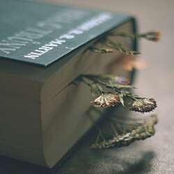 Event Cover Photo