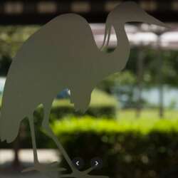 Event Cover Photo