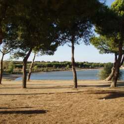 Event Cover Photo