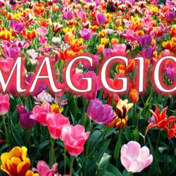 Event Cover Photo