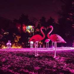 Event Cover Photo