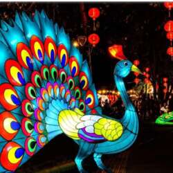 Event Cover Photo