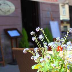 Event Cover Photo