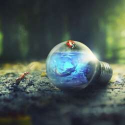 Event Cover Photo