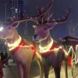 Event Cover Photo
