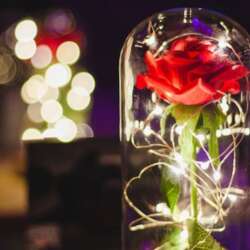 Event Cover Photo