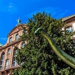 Event Cover Photo