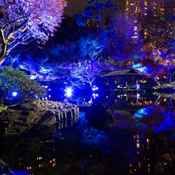 Event Cover Photo