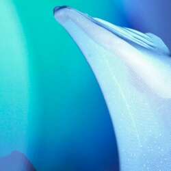 Event Cover Photo