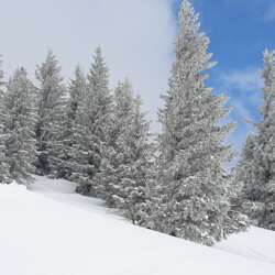 Event Cover Photo
