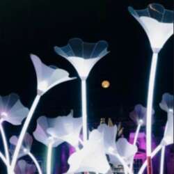 Event Cover Photo