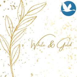 Event Cover Photo