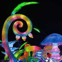 Event Cover Photo