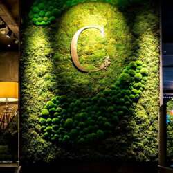 Event Cover Photo