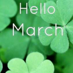 Event Cover Photo