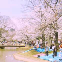 Event Cover Photo