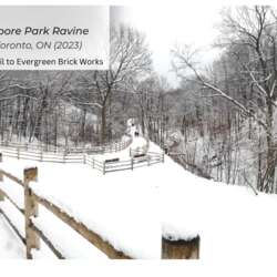 Event Cover Photo