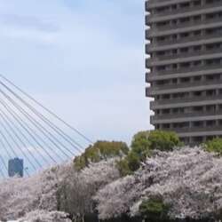 Event Cover Photo