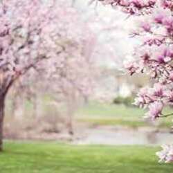 Event Cover Photo