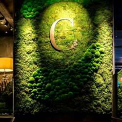 Event Cover Photo