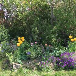 Event Cover Photo