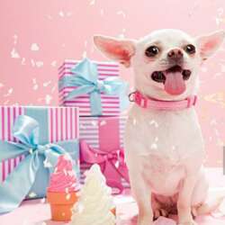 Event Cover Photo