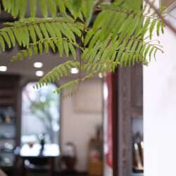 Event Cover Photo