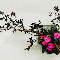 Event Cover Photo