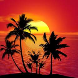 Event Cover Photo