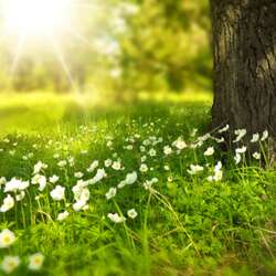 Event Cover Photo