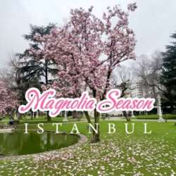 Event Cover Photo