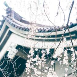 Event Cover Photo
