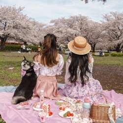 Event Cover Photo
