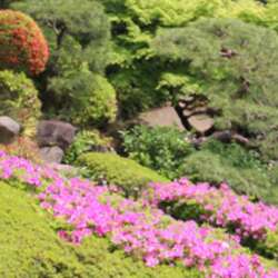 Event Cover Photo