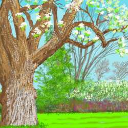 Event Cover Photo