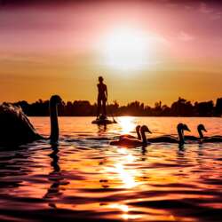 Event Cover Photo
