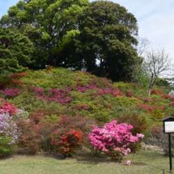Event Cover Photo