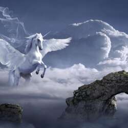 Event Cover Photo