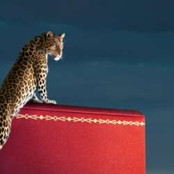 Event Cover Photo