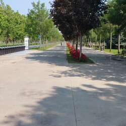 Event Cover Photo