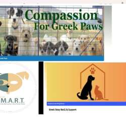 Event Cover Photo