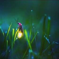 Event Cover Photo
