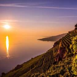 Event Cover Photo